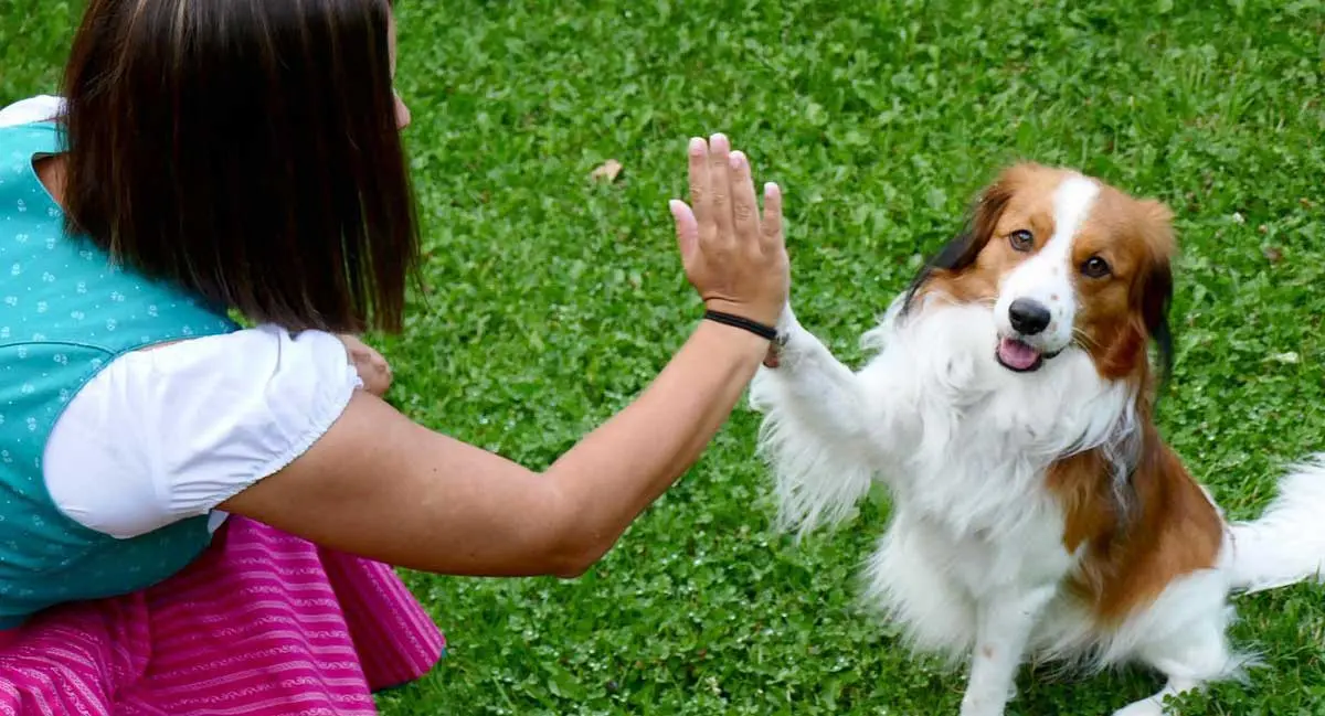 Individual Differences in Shaking Tendencies