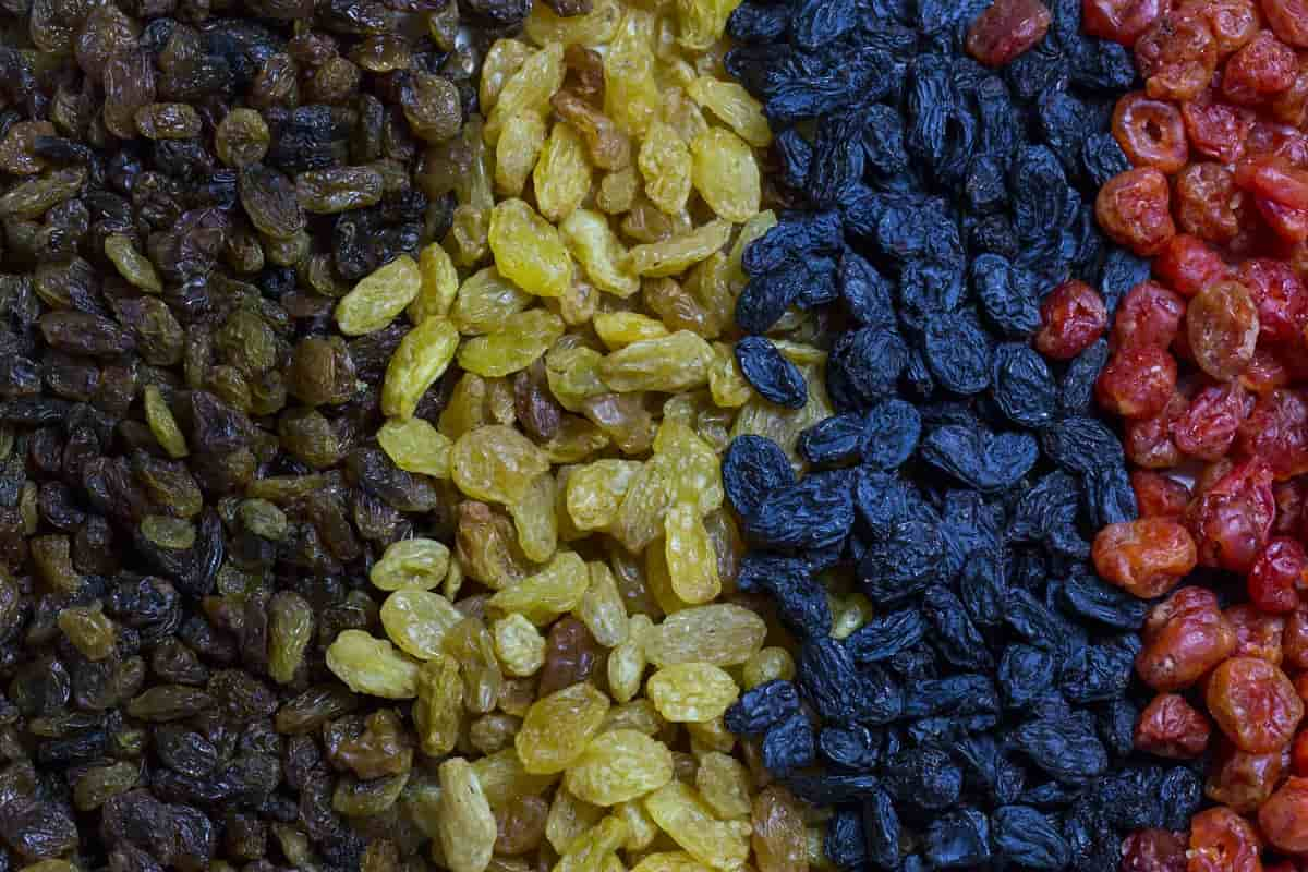 Raisins Likely Pose Higher Risks than Fresh Grapes