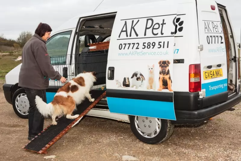 pet transport service