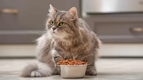 How To Control Bigs From Cat Food