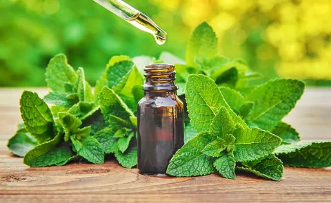 peppermint oil