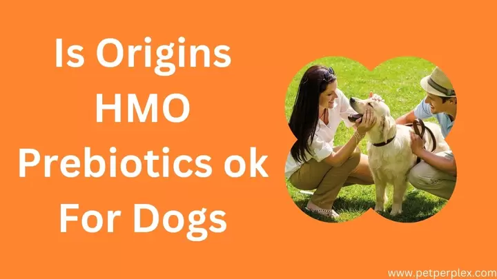 Is Origins HMO Prebiotics ok For Dogs