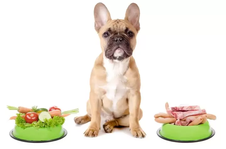 How to Introduce Origins HMO Prebiotics to Your Dog's Diet: Baby Steps!