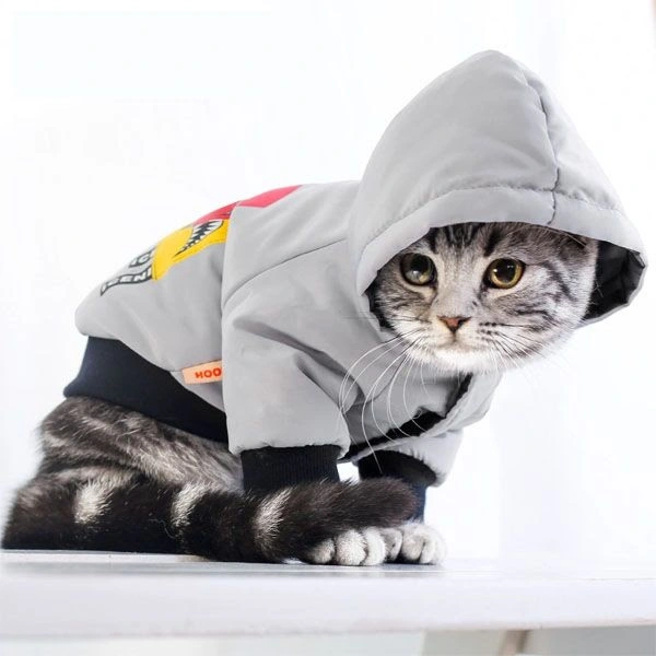 cat hoodies