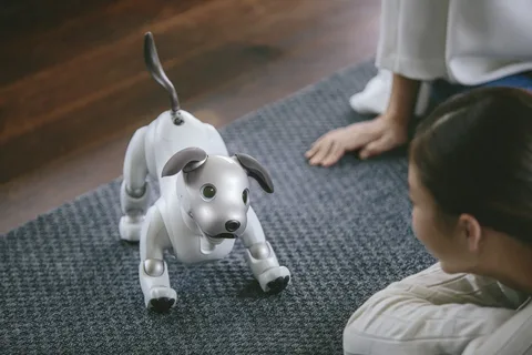 2024's Family Robot Dog Movies