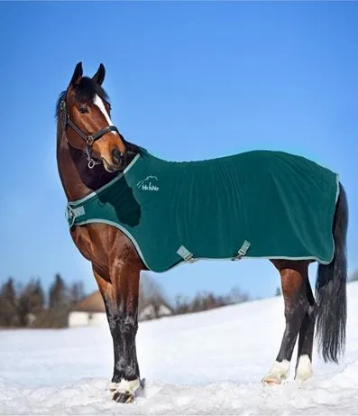 How to Choose the Right Horse Blanket for Your Horse