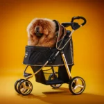 Morocco Premium Dog Stroller