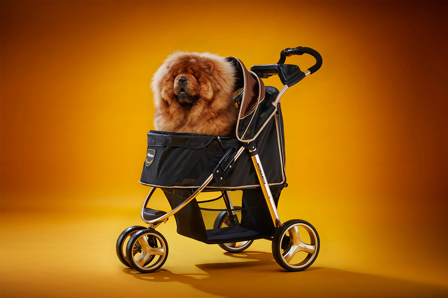 Morocco Premium Dog Stroller