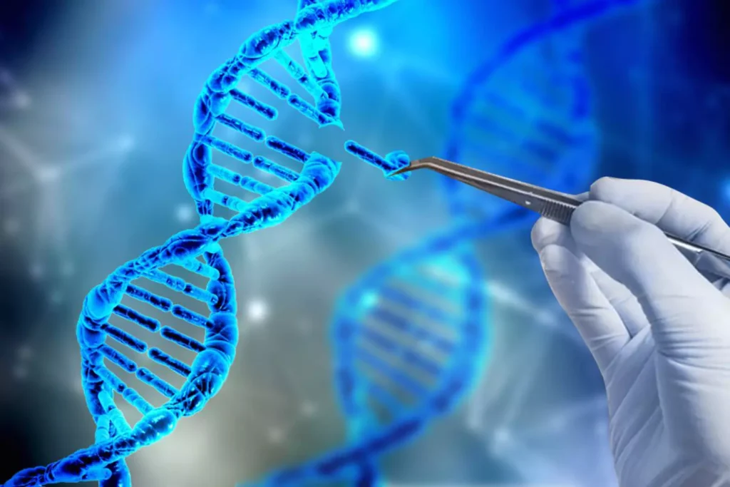 Photoreceptor Physiology and Genetic Basis