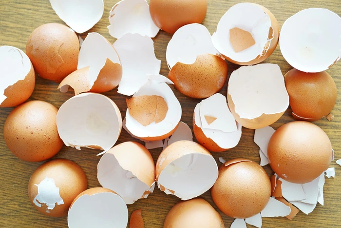 How to Properly Feed Eggshells to Your Canine Companion