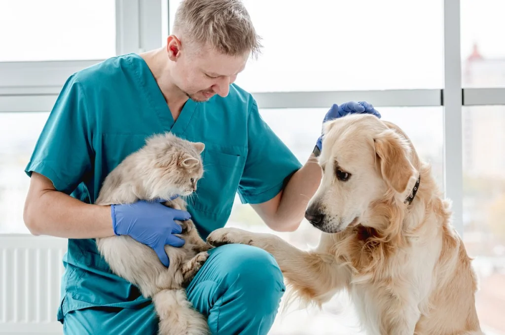 Importance of Preventive Veterinary Care